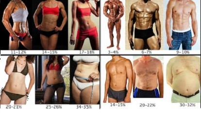 body-fat-percentage-chart.jpg