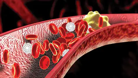 what is normal good cholesterol