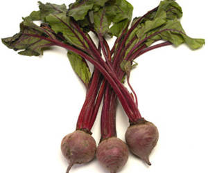 beetroot plant