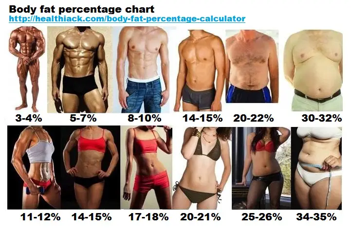 Body Fat Content Chart