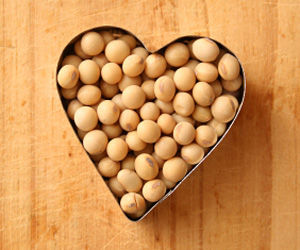 soy decreases cholesterol