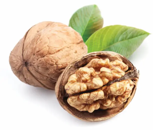 walnuts