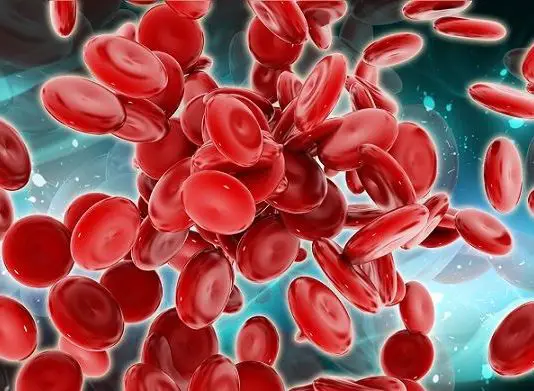blood cells