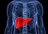 How to Improve Liver Function