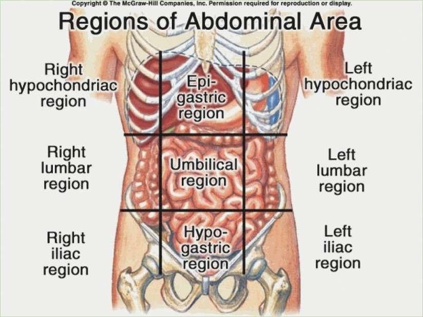 Inchazon abdominal