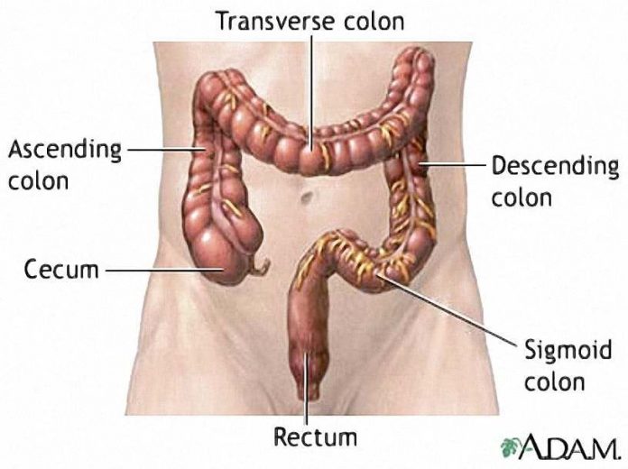 Colon Diagram colon-diagram