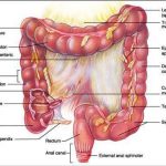 Colon diagram