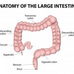 Colon diagram