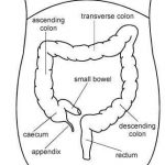 Colon diagram