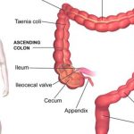 Colon diagram