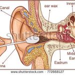 Ear diagram