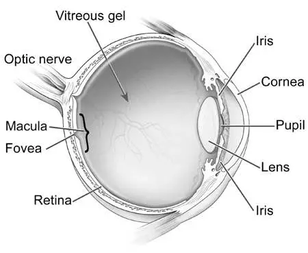 Eye diagram labeled