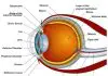 Eye diagrams