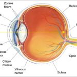 Eye diagrams