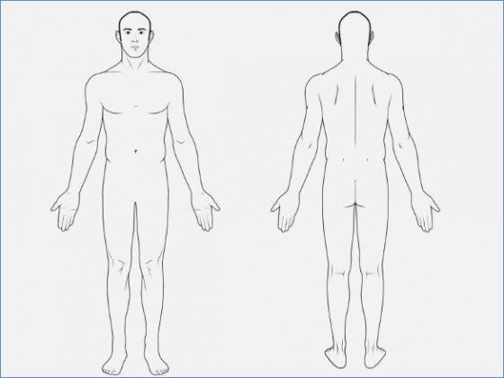 Human body diagram