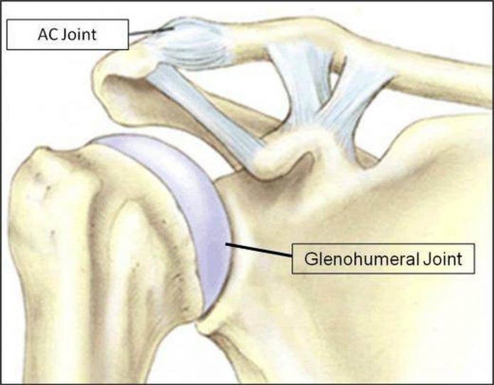 Pictures Of Acromioclavicular Ligaments