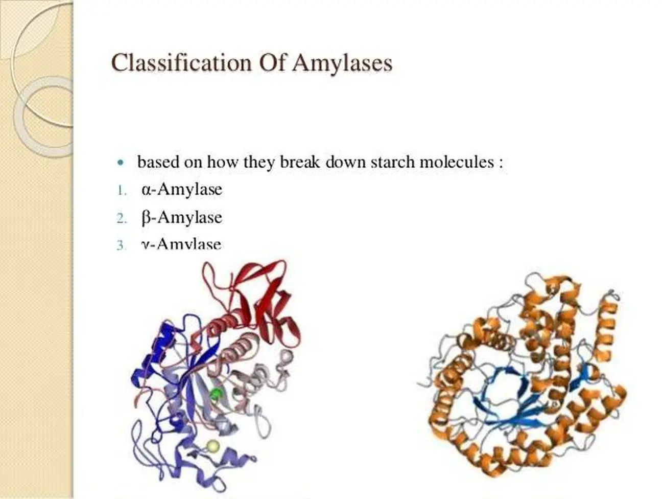 Pictures Of Amylase