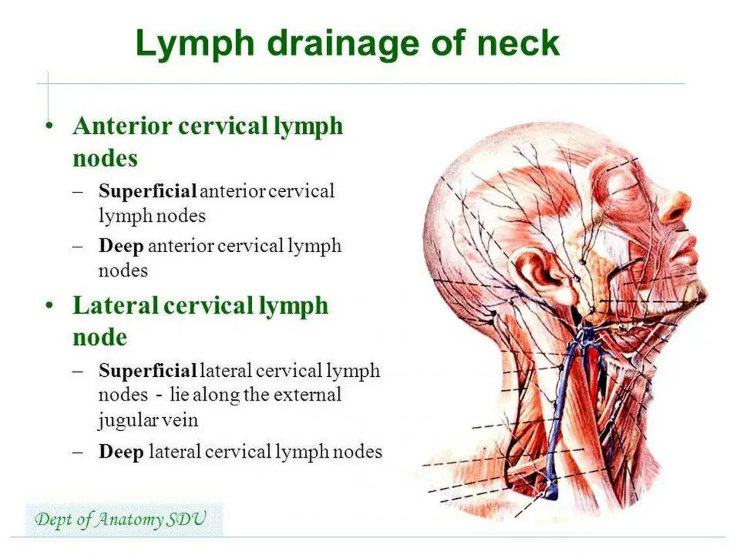 painful lymph node on back of head