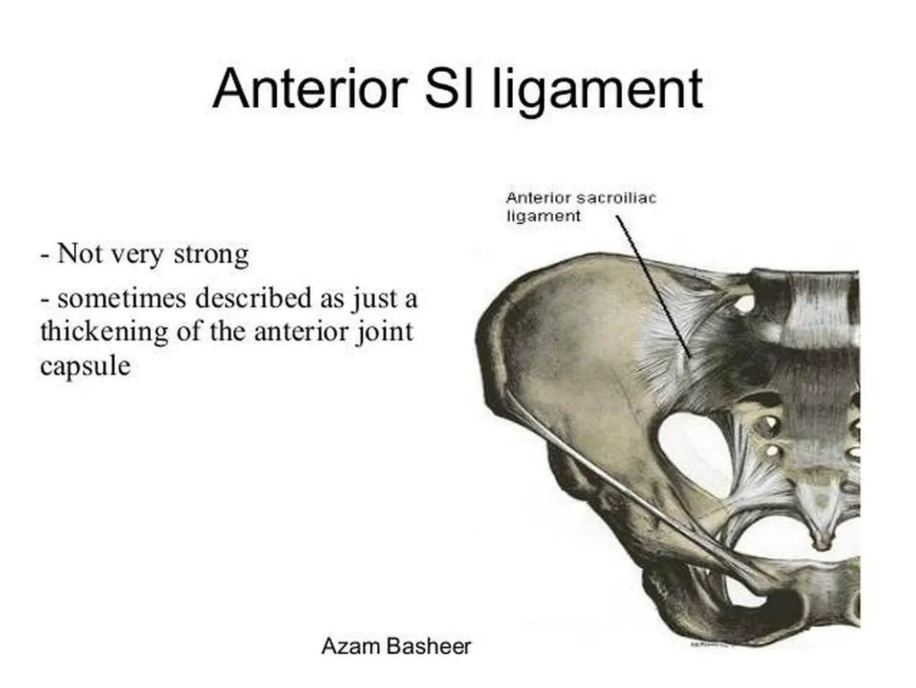 Pictures Of Anterior Sacroiliac Ligament