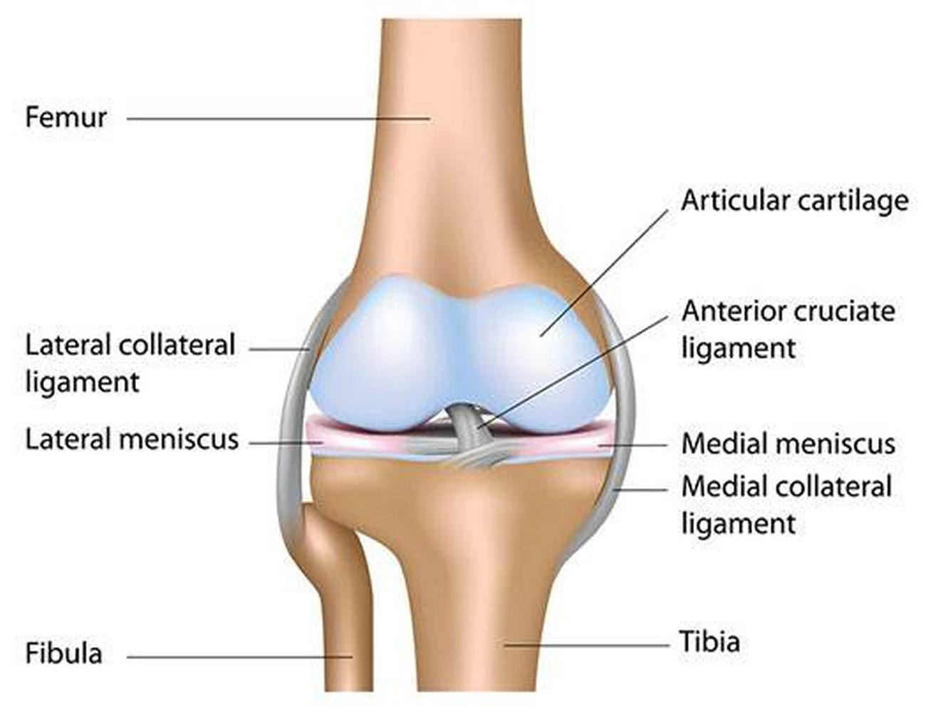 ligament articular genunchiul umflat și dureros