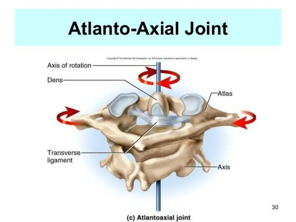 Pictures Of Atlas Axis Joint