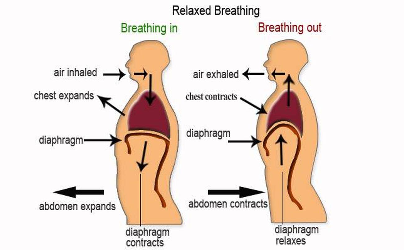 Pictures Of Breathing