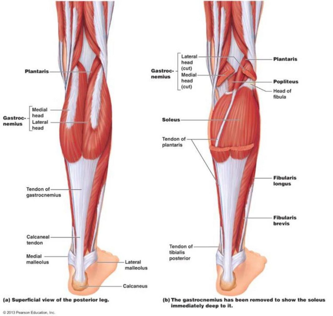 What Causes Tightness In One Leg