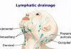 Pictures Of Cervical Lymph Nodes