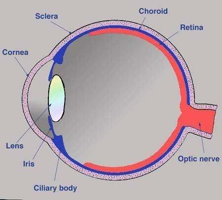 Simple eye diagram
