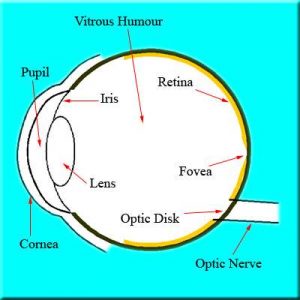 Simple eye diagram