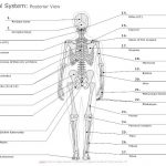 Skeleton diagram