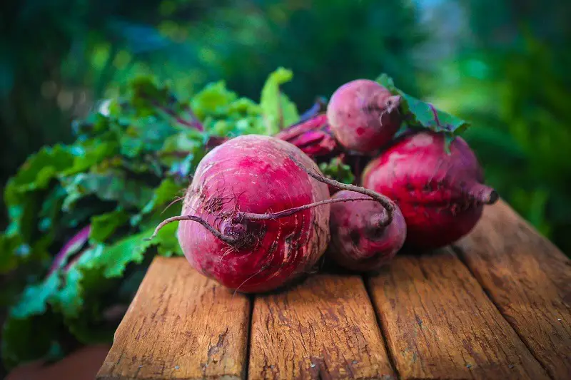 beetroot-raw