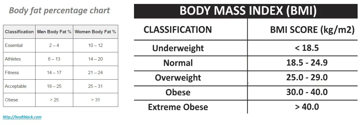 body fat percentage chart