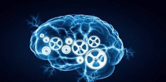 brain power