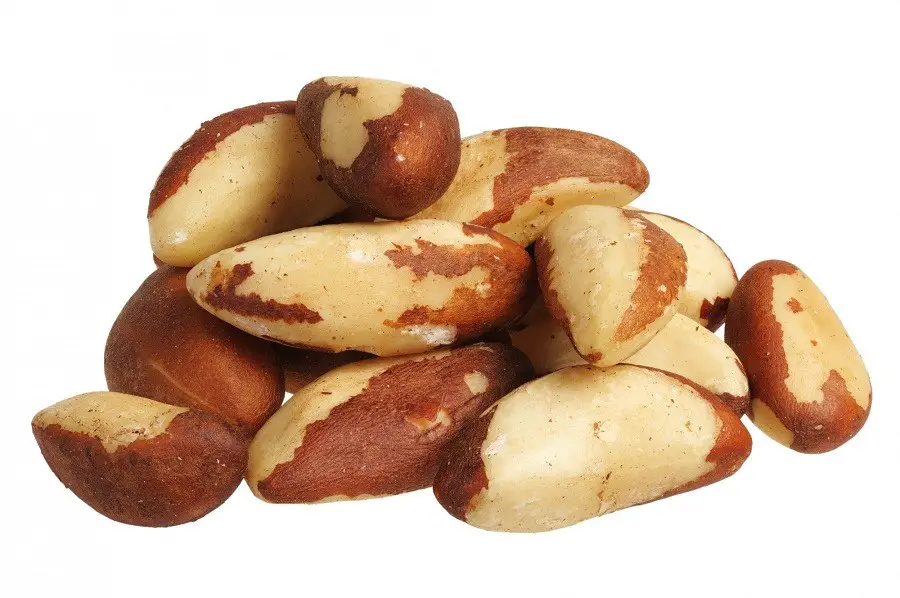 brazil-nuts