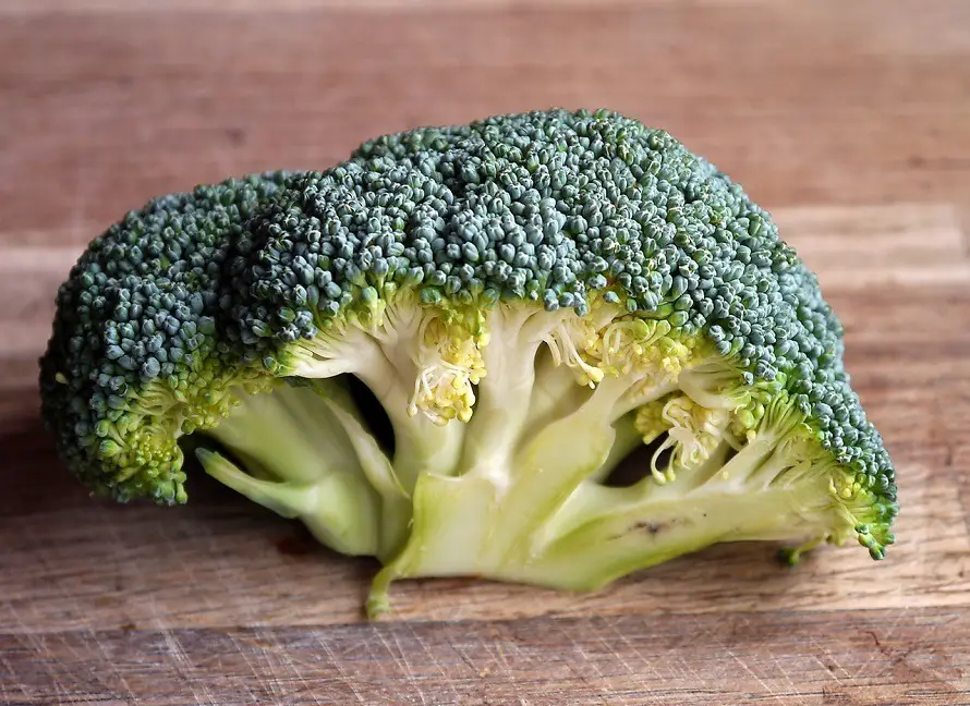 broccoli-vegetable-food