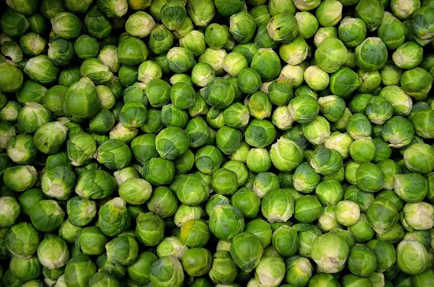 brussels-sprouts