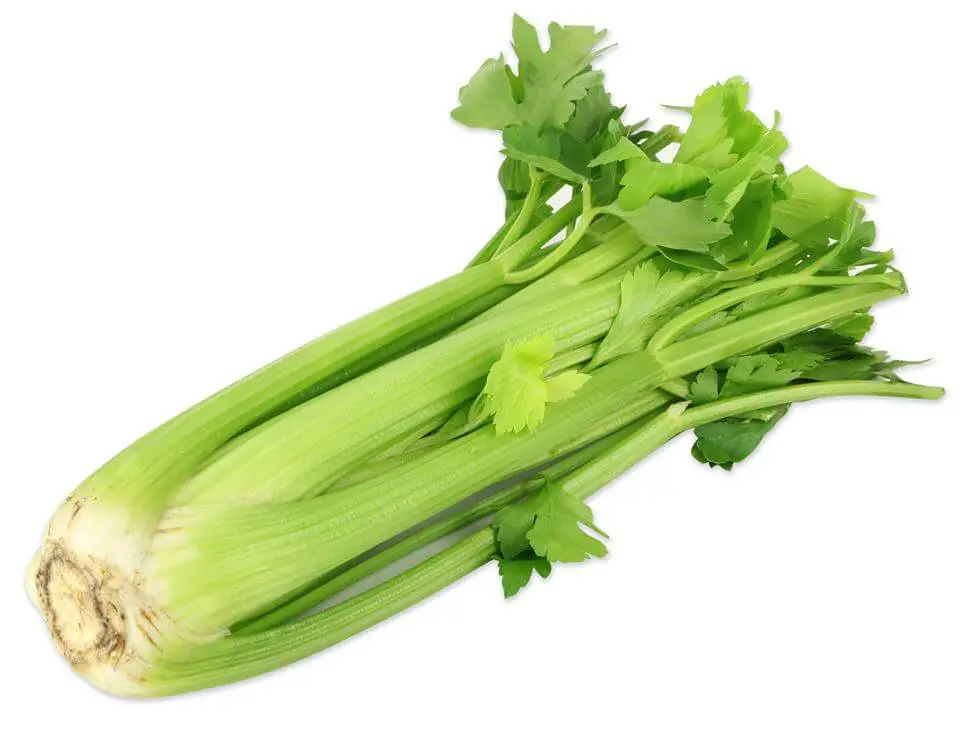 celery