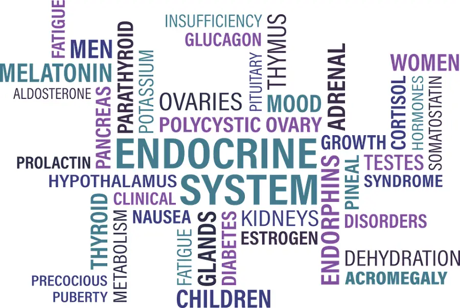 common-endocrine-disorders