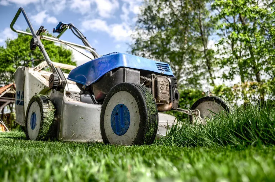 garden-gardening-grass