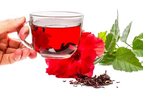 hibiscus flower tea