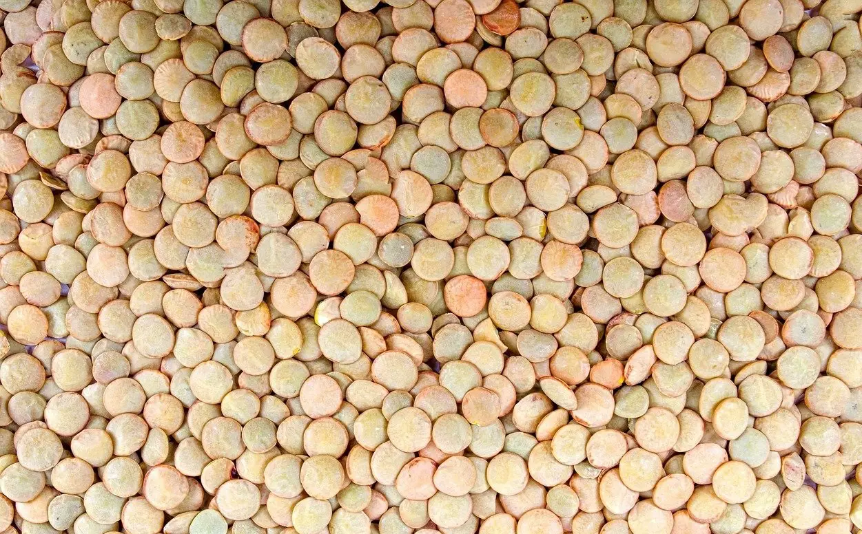 lentils