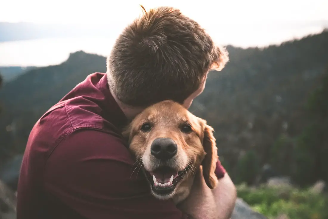 man-guy-with-dog