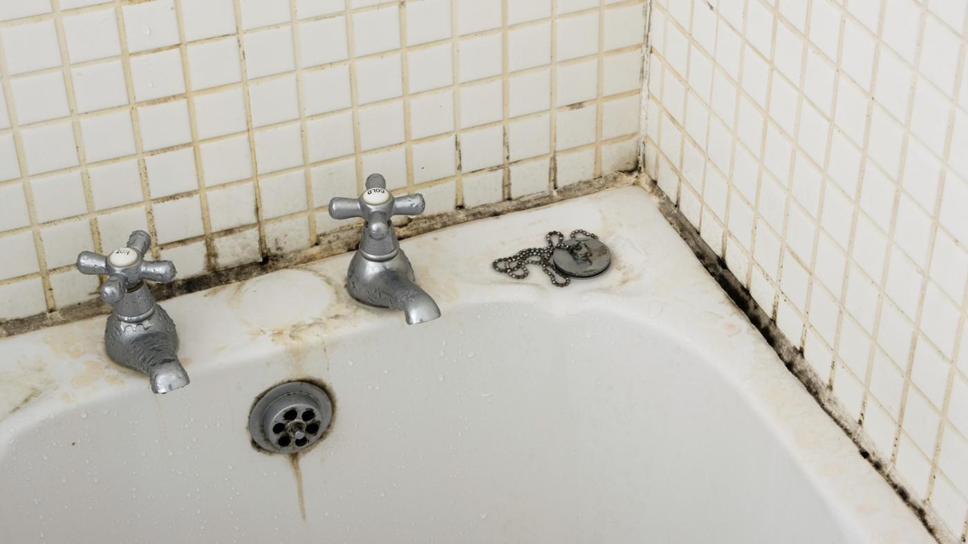 Is Your New House A Danger To Your Health Find Out Before You Buy   Mold In Bathroom 