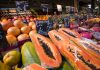 Papaya – Everything You Need to Know