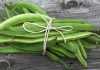 Discover the magic of Runner Beans