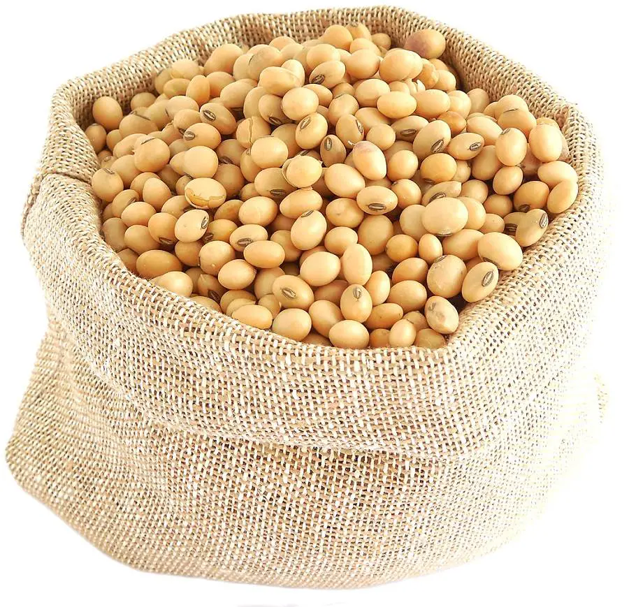 soy-beans