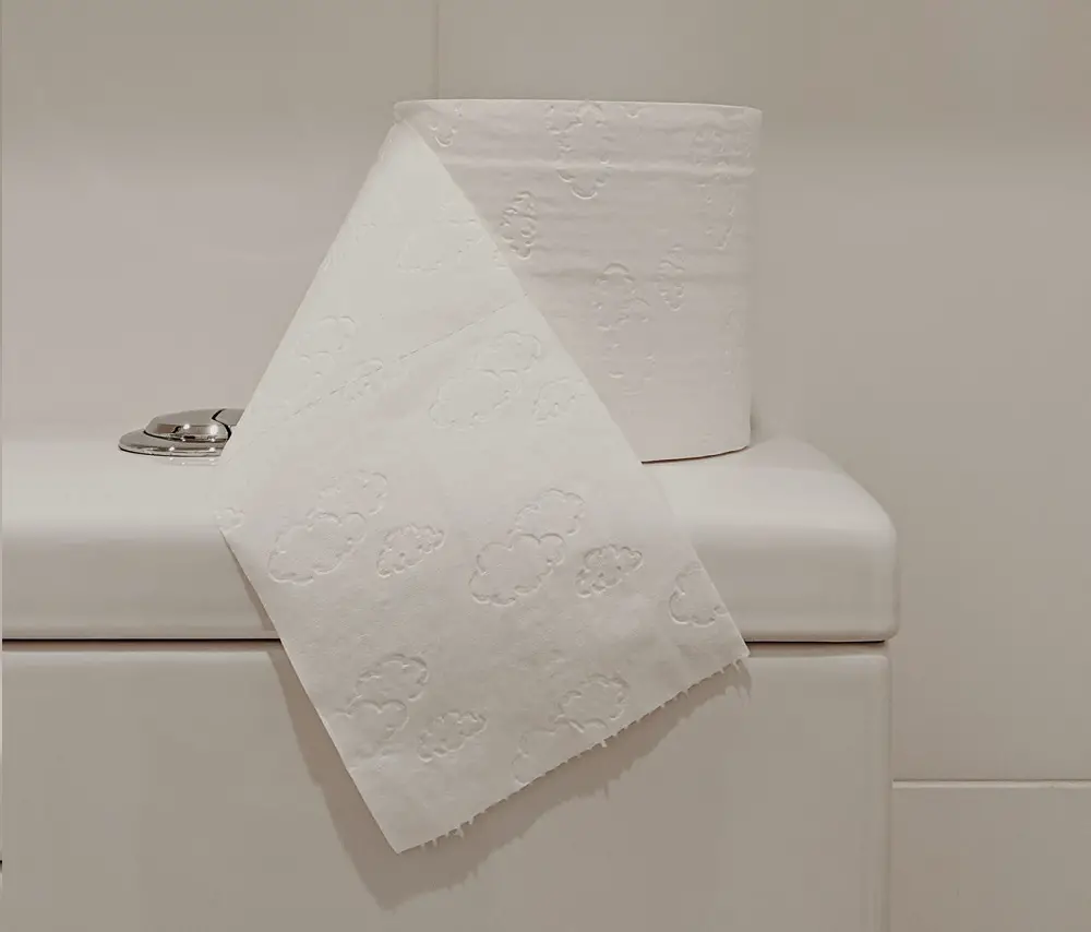 toilete-paper-clean