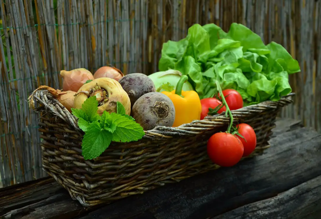 vegetables-vegetable-basket-harvest-garden