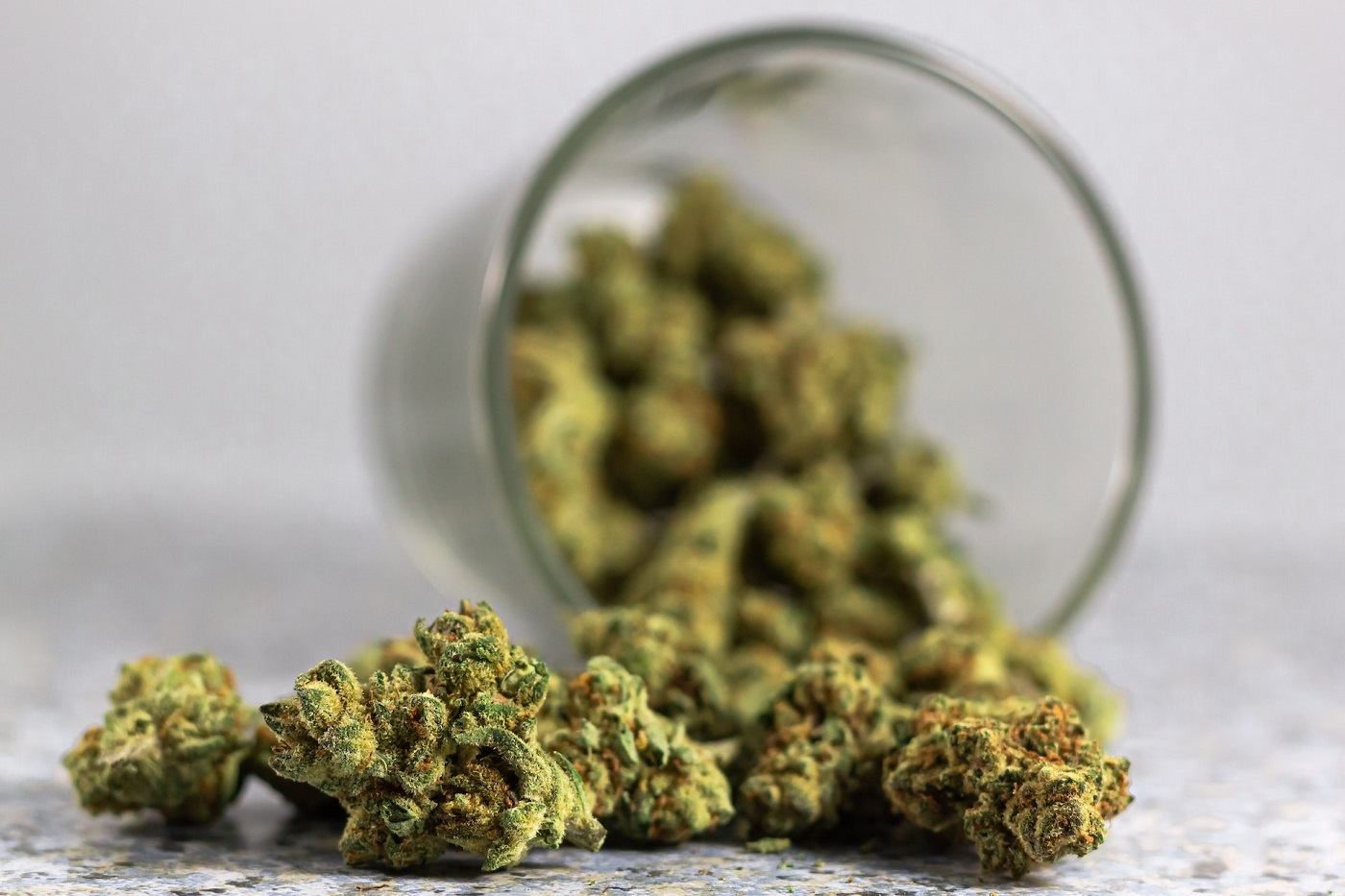 weed-marijuana-plant-dried
